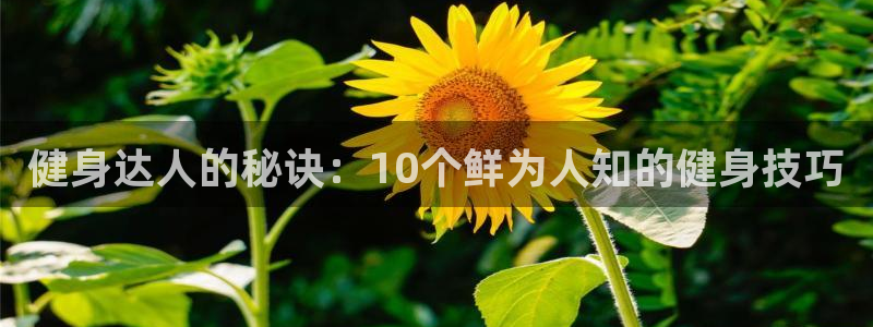 qy球友会手机版