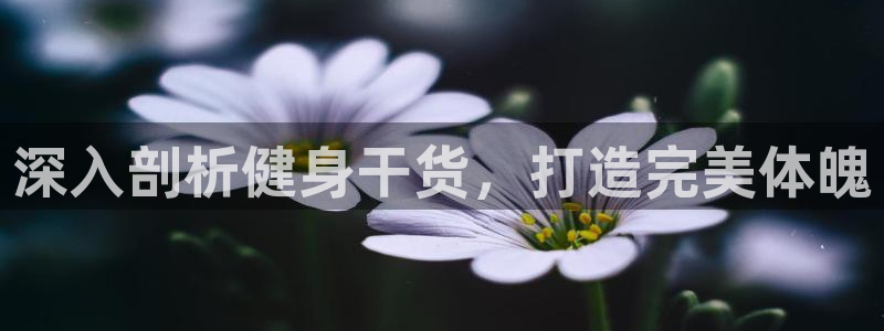 QY球友会体育官网