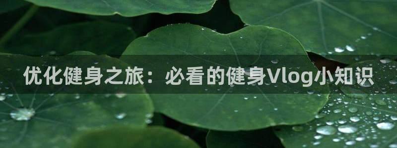 qy球友会手机版