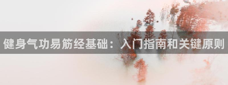 QY球友会体育官网