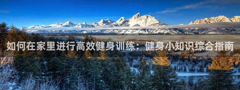 QY球友会官网