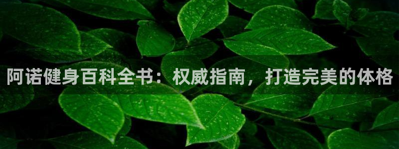 QY球友会2