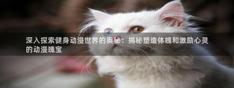 qy亿球友会体育